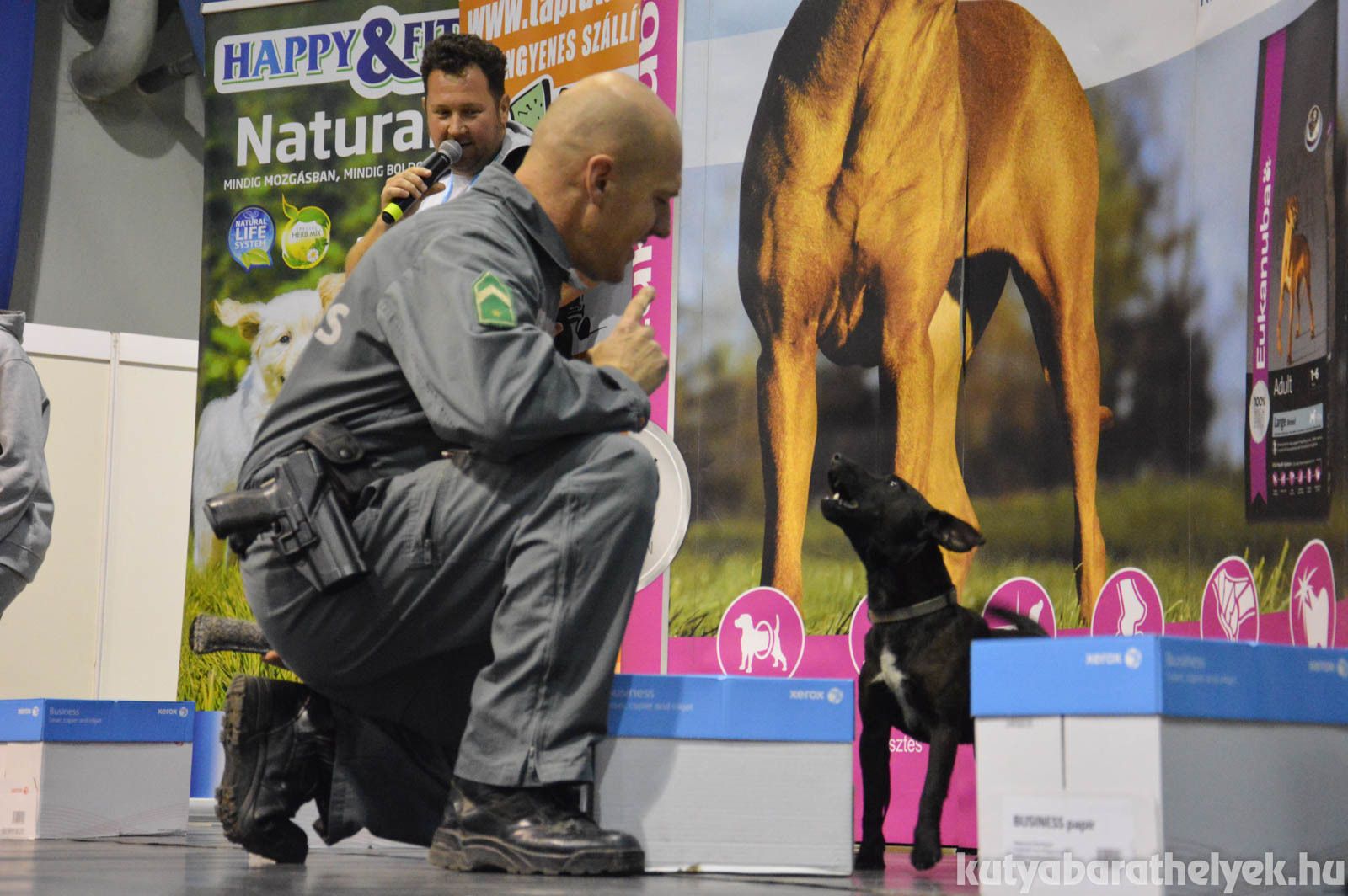 A legkisebb, de annál ügyesebb drogkereső kutya