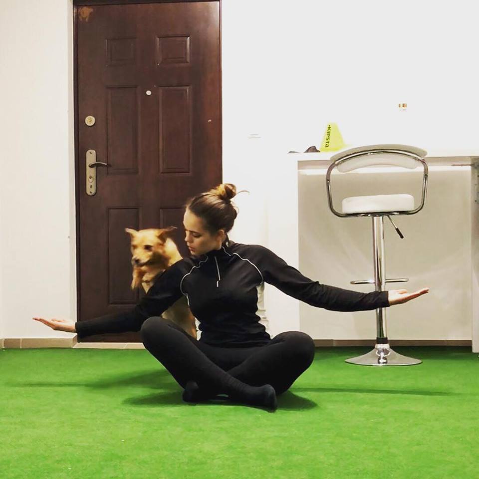 Apró trükköket akár rossz idő esetén a szobában is gyakorolhatunk kutyáinkkal, így dolgoztatva meg szellemileg is őket 