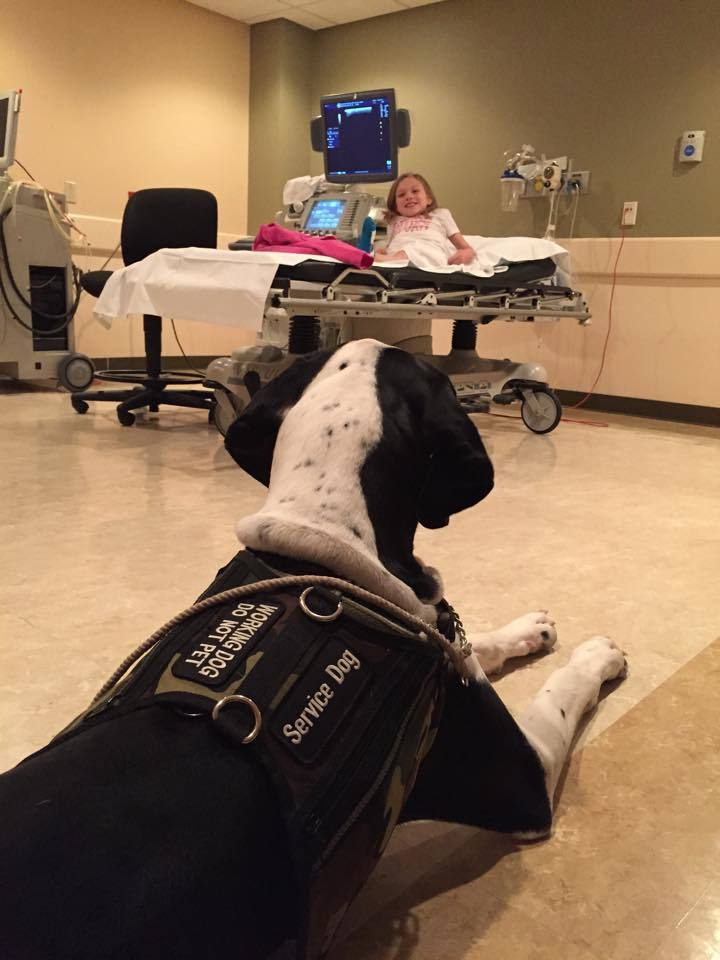 George a kórházban is vigyáz Bellára