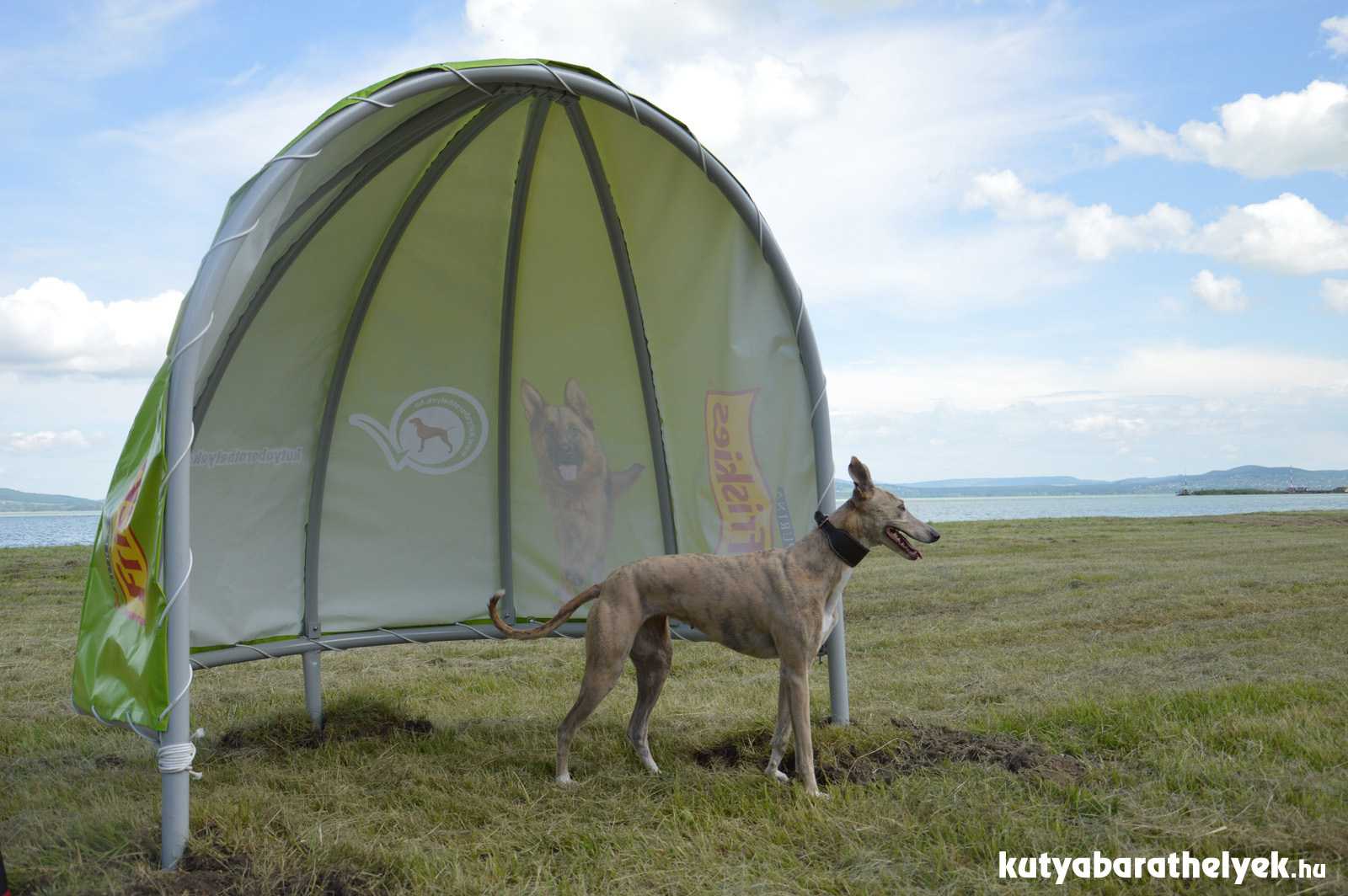 Árnyékoló sátrak biztosítják a hűsölést