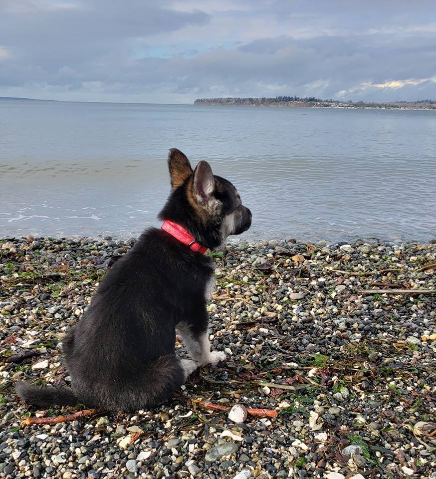Logan a tengert is láthatta, hála a gondozóinak