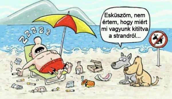 Egy igen találó karikatúra az érvényes szabályokról.