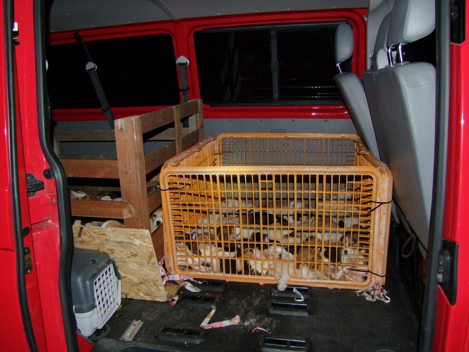 54 kutya összezsúfolva dobozokba, rekeszekbe