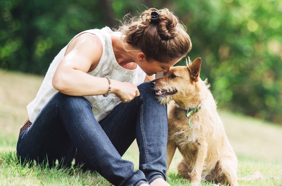 Kutyák nélkül el sem tudnánk képzelni az életünket