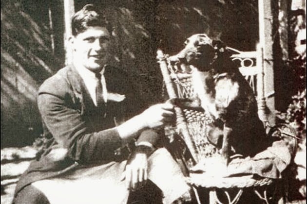 A Guinness Rekorder kutya: Bluey 29 és fél évet élt meg!