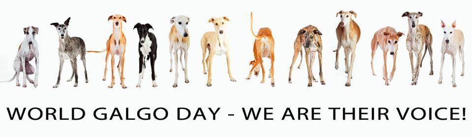 Galgo Világnap - mi vagyunk a hangjuk!