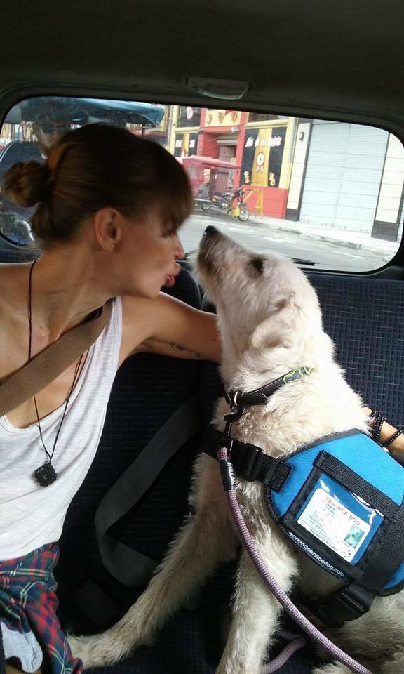 Charlie első autózása