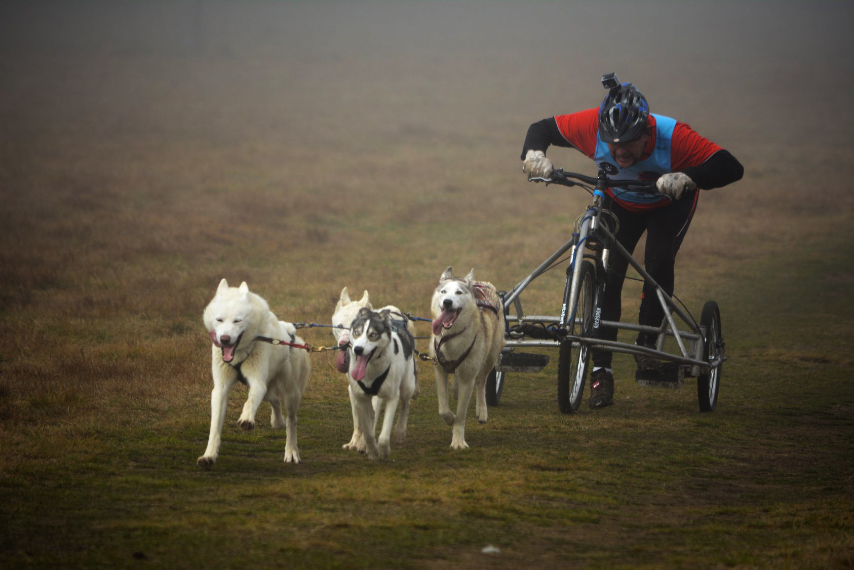 Tavaly, az a csehországi Abertamyban tartott EB-n a magyar csapat 3 arany, 5 ezüst és 4 bronzérmet szerzett!