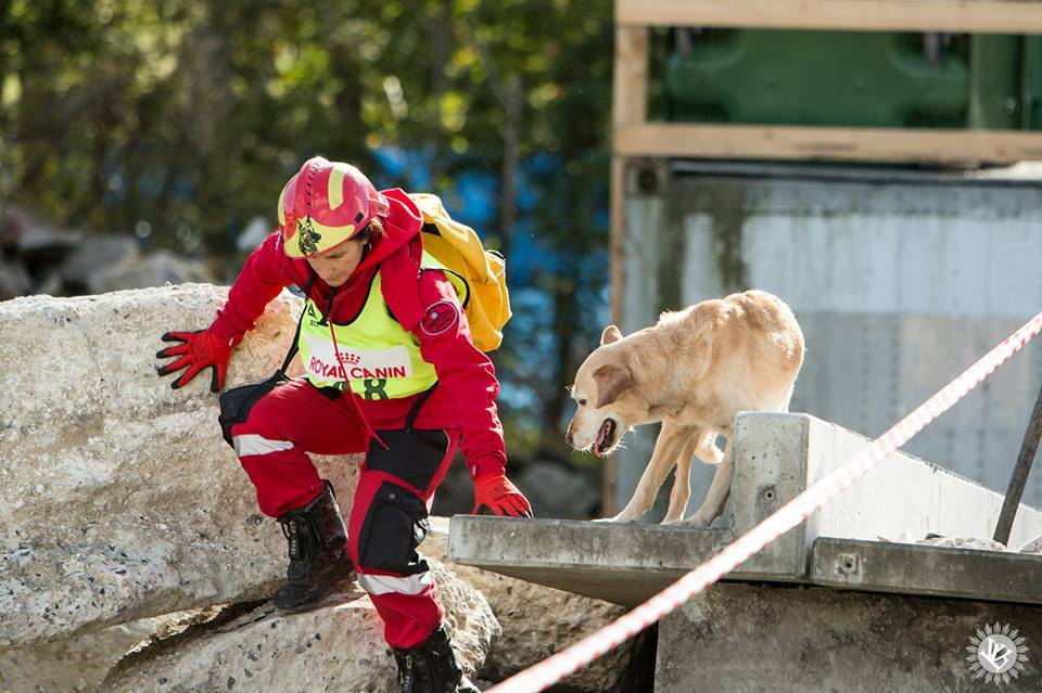 Dánffy Brigitta és Kira (KÉA) - Romkutatás az IRO Mentőkutya VB-n