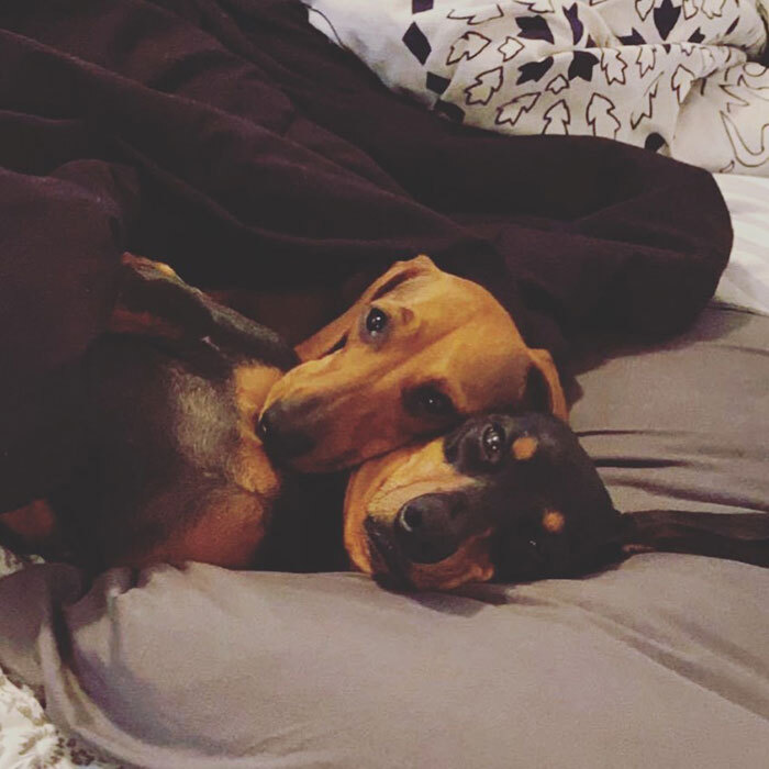 Munka után édes a pihenés...