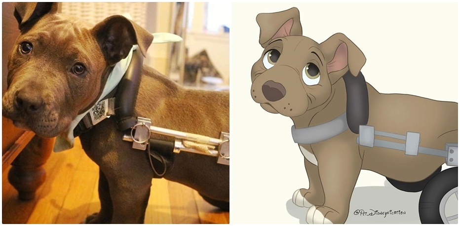 Pet Disneyfication 11