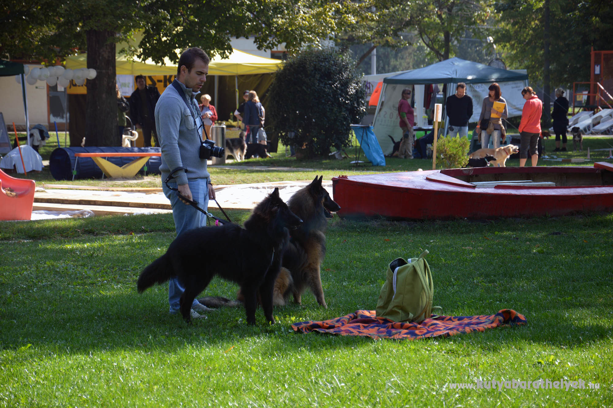 Sok kutya és gazdi érkezett az idei FALKAstrandra!