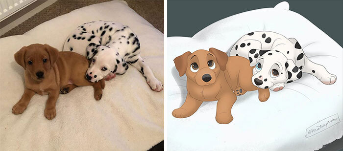 Pet Disneyfication 4