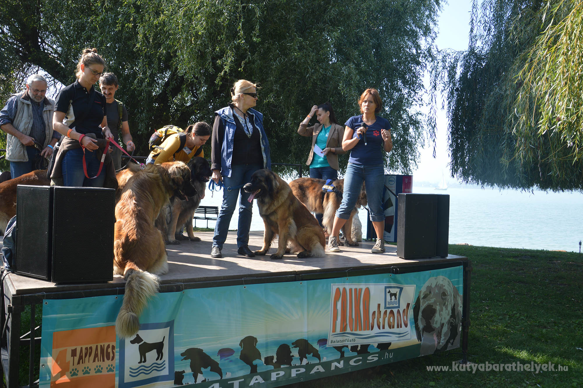Leonbergi Klub bemutatója