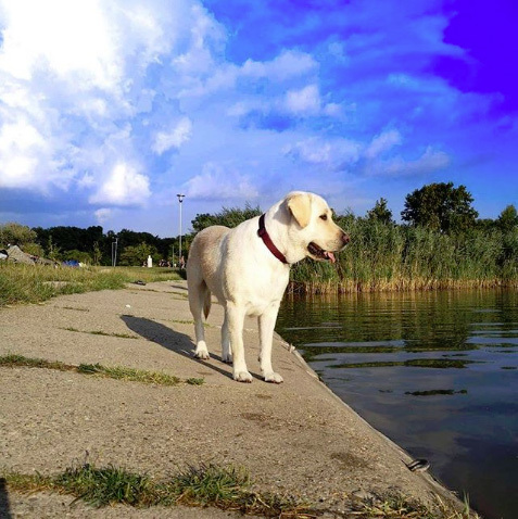 @my_life_as_cherry @my_life_as_cherry