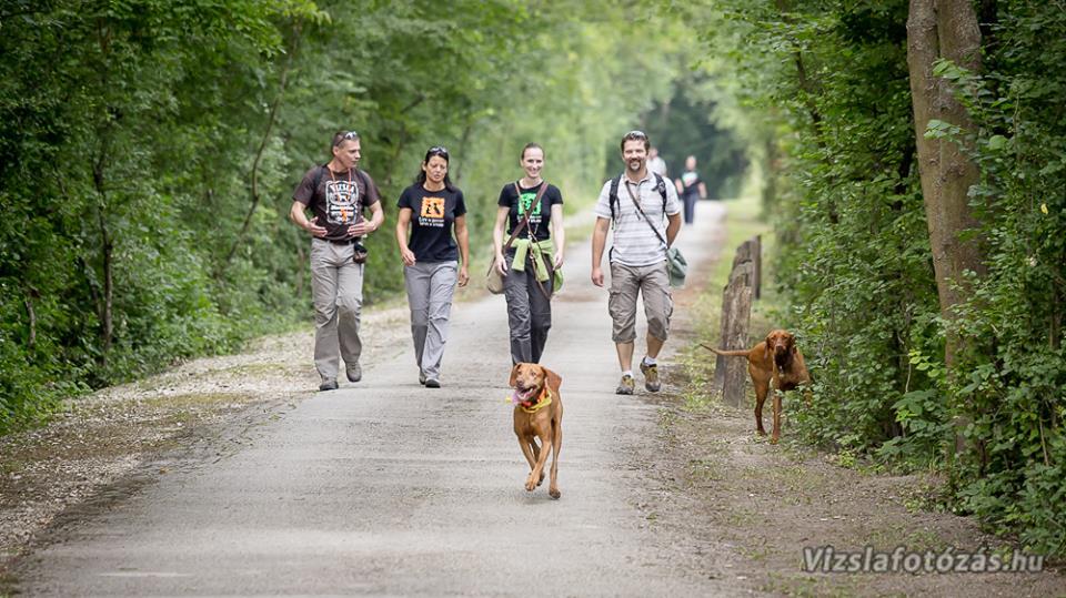 II. Deményista Piknik