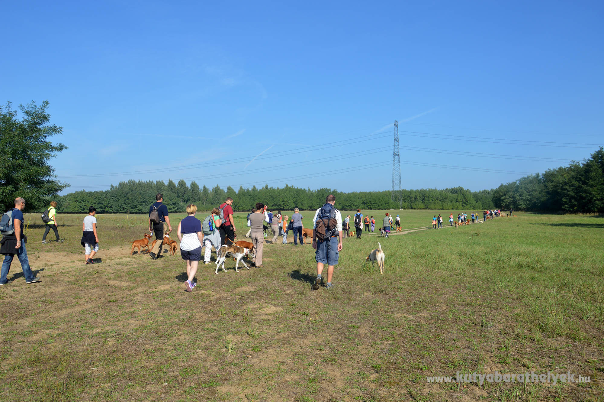 IV. Vizsla Túra Fesztivál