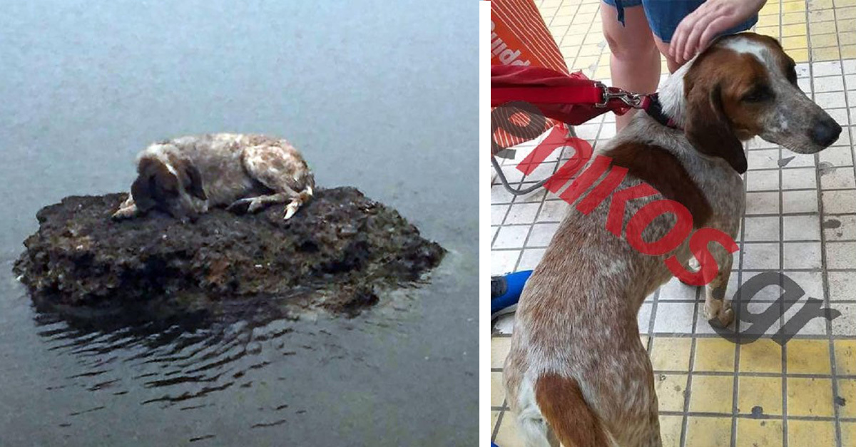 Lua újra a gazdájával van