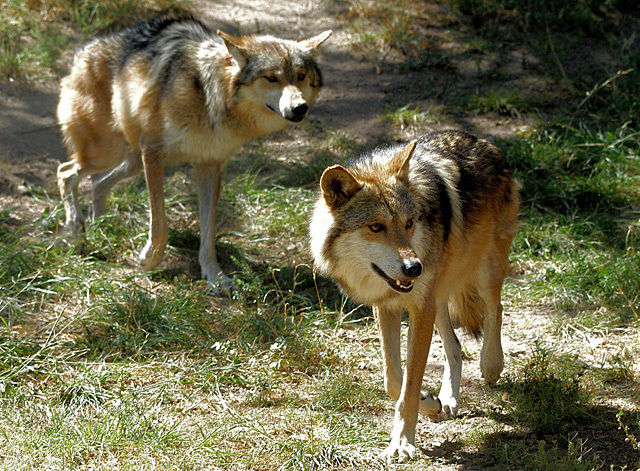 Az aggteleki felvételek