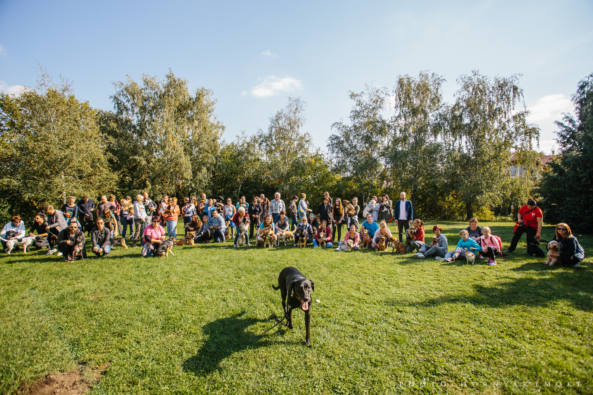 Közel 40 kutya vett részt a találkozón