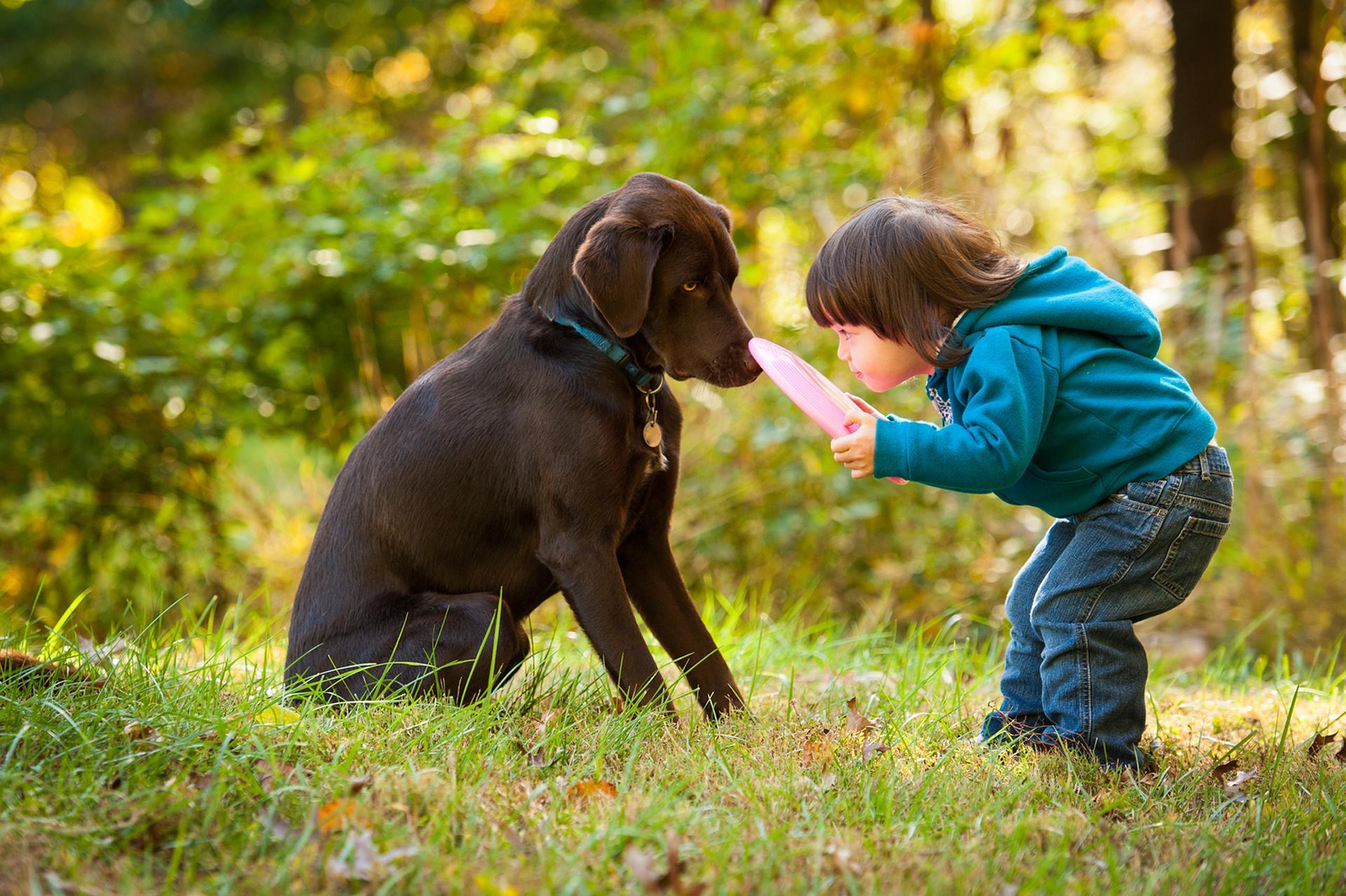 Látod, ezt kell visszahoznod!
