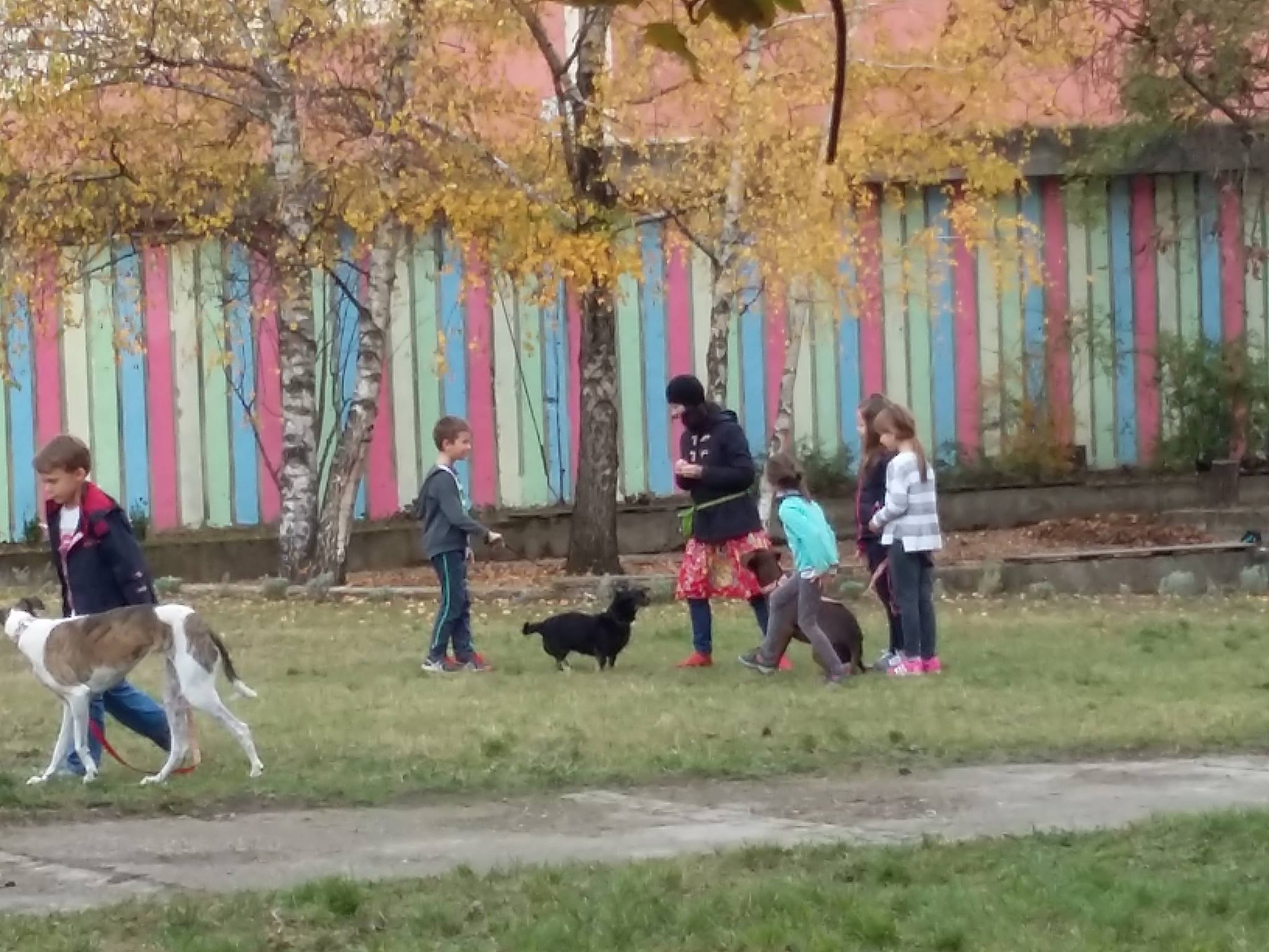 Az esetek nagy részében csak egy-egy kutya van a diákokkal, de egy-egy különleges alkalommal mindhárman jelen vannak