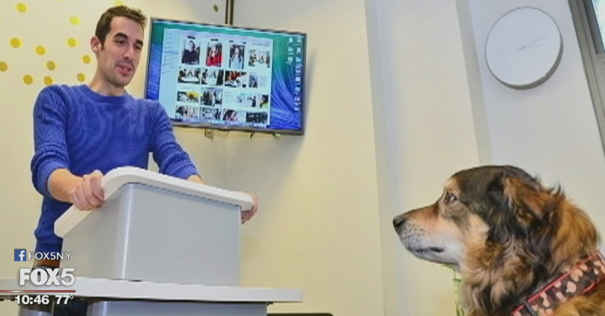 A kutya nagyon jó hallgatóság