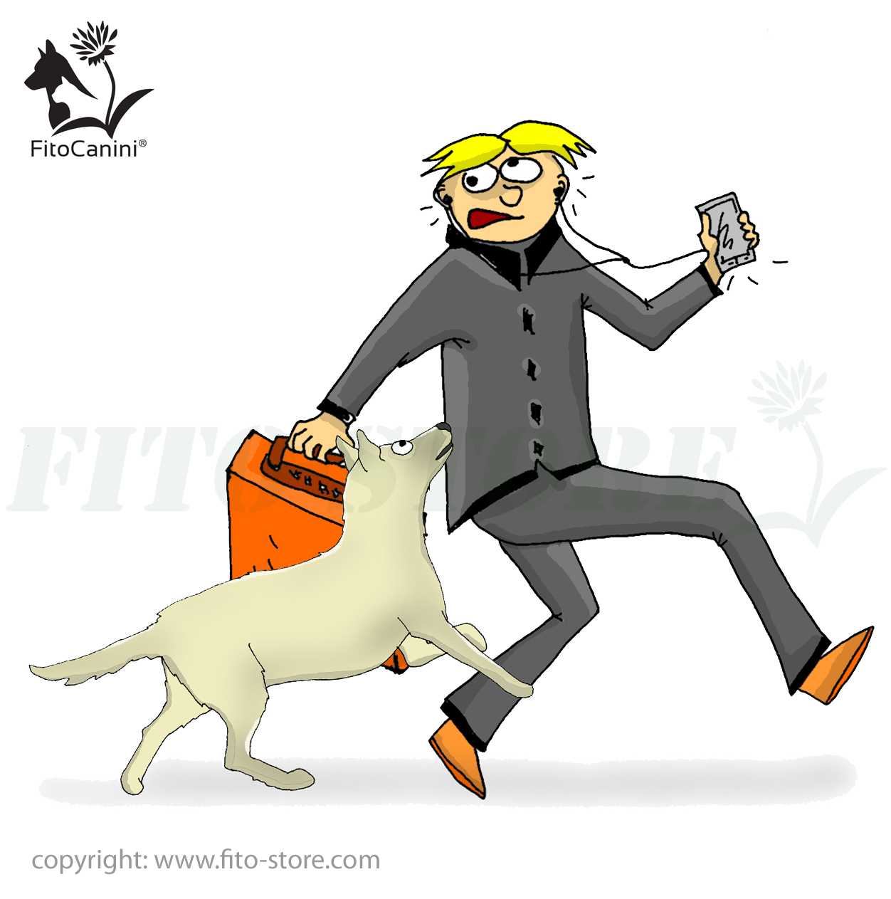 A hétköznapi rohanásban kevesebb idő juthat a kutyára