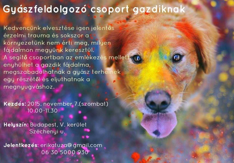 Vizsla Vigasz - Gyászfeldolgozó csoport gazdiknak