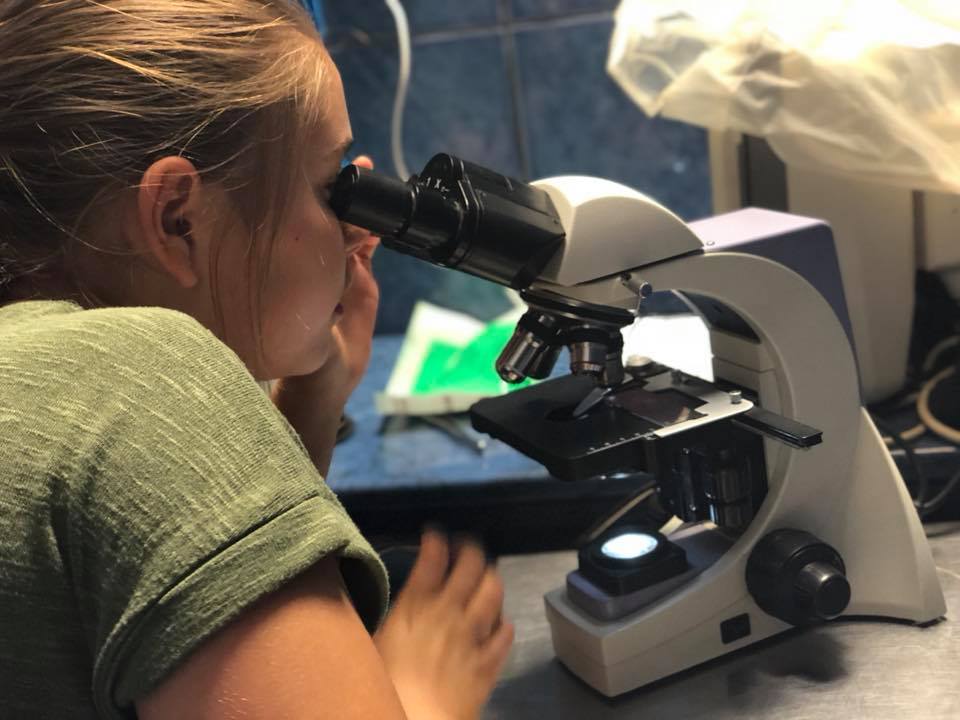 Szó szerint a legapróbb részleteket is megfigyelhetik a táborozó gyerekek