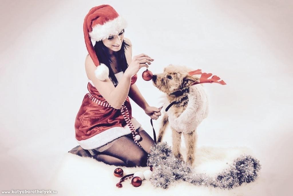 Laura Gáncs - Karácsonyi álom