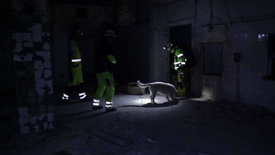 Éjjel is dolgoztak a mentőkutyák