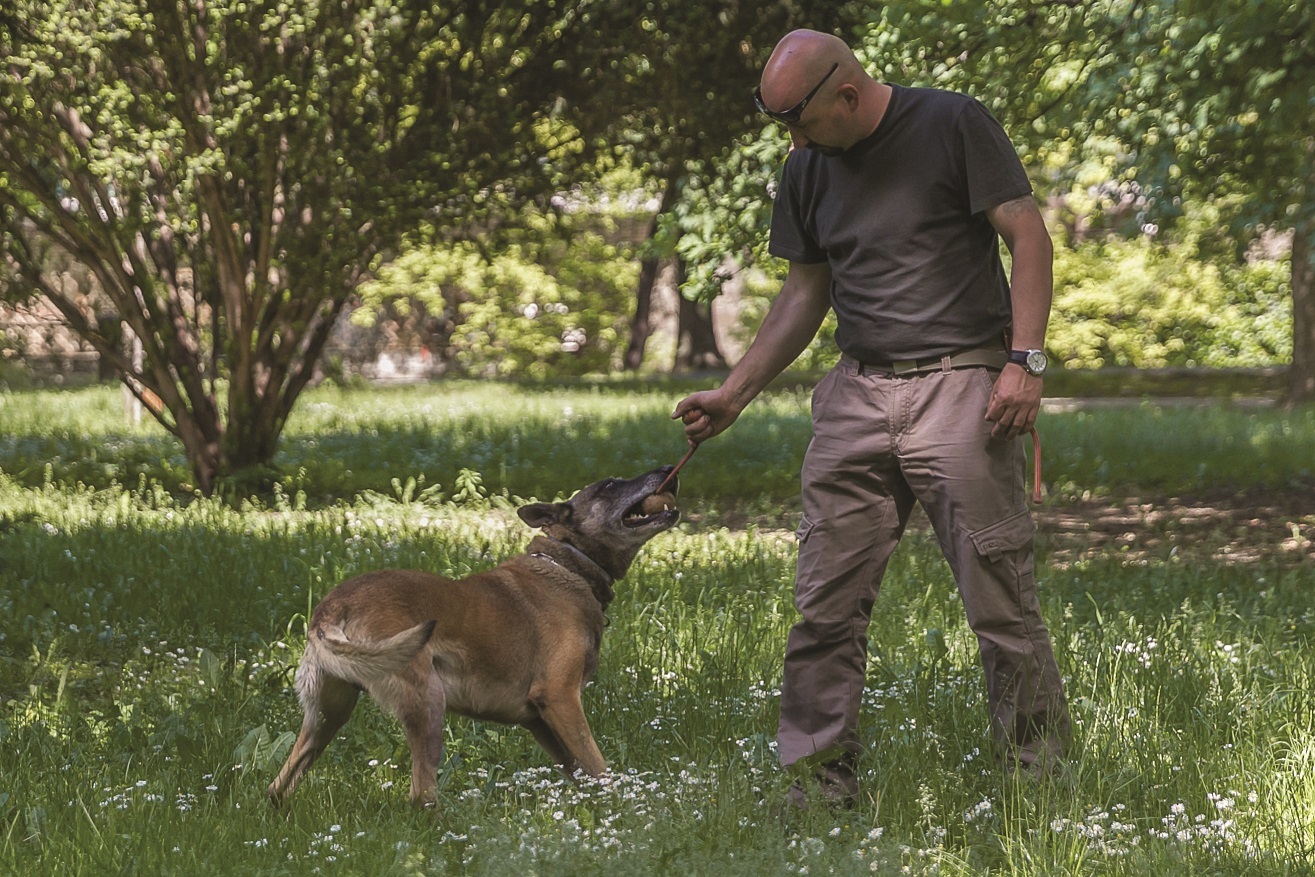 Kovács Tamás és belga juhásza, Melo