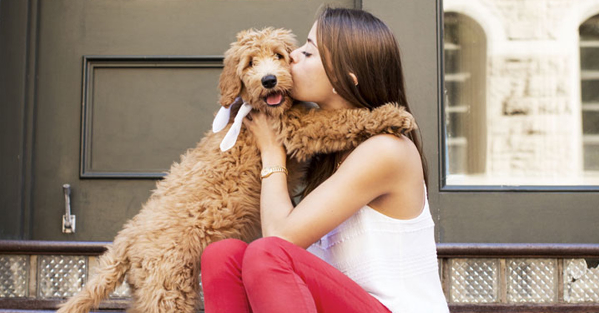 Mindenből a legjobbat a kedvencnek Mindenből a legjobbat a kedvencnek