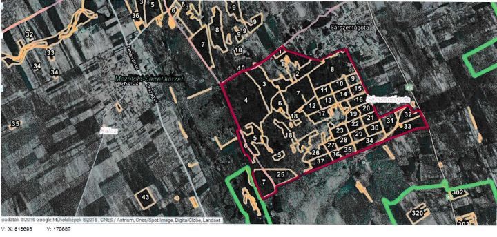 Erdőlátogatási tilalom a sárszentágotai erdőben