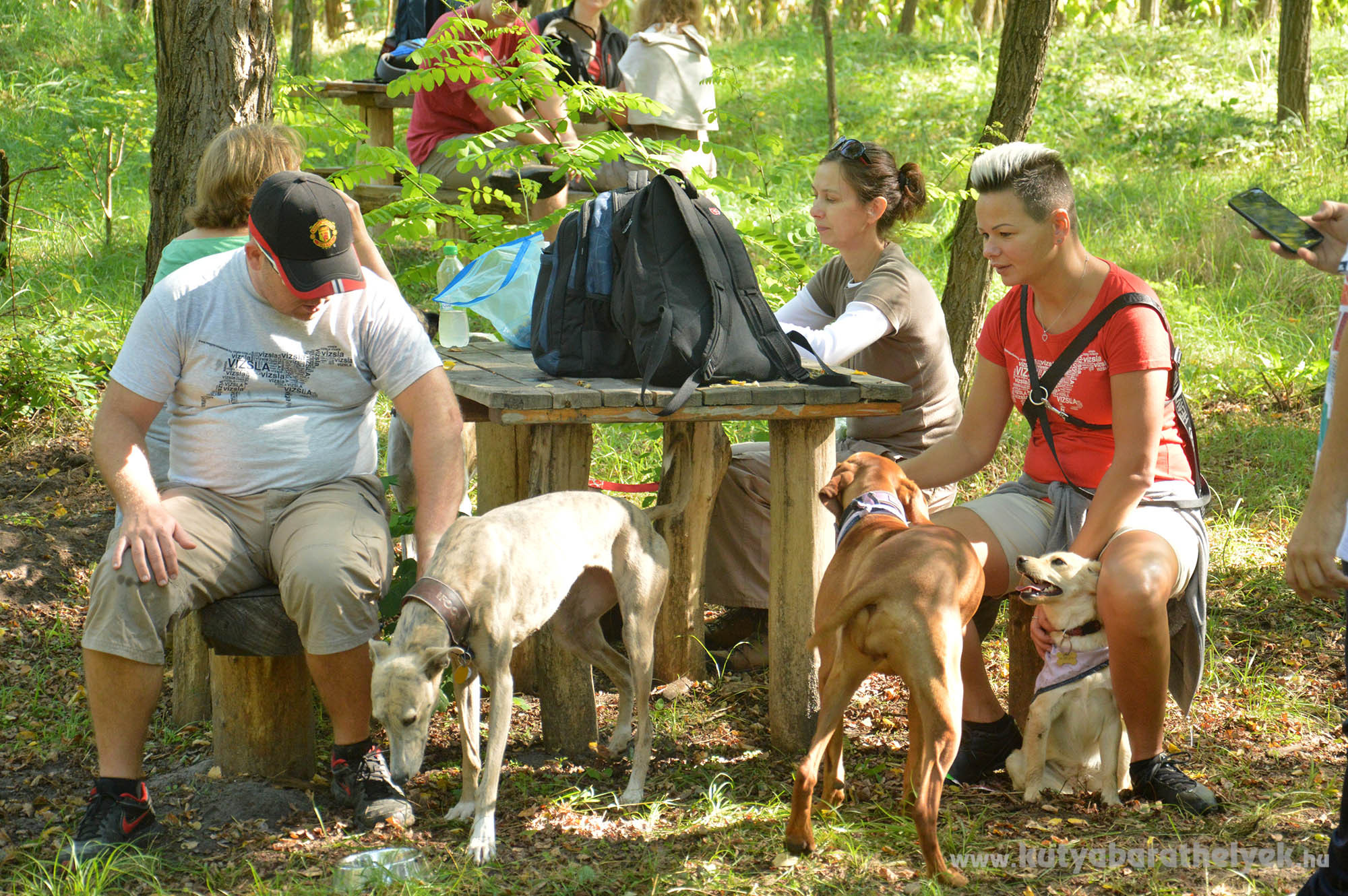 IV. Vizsla Túra Fesztivál
