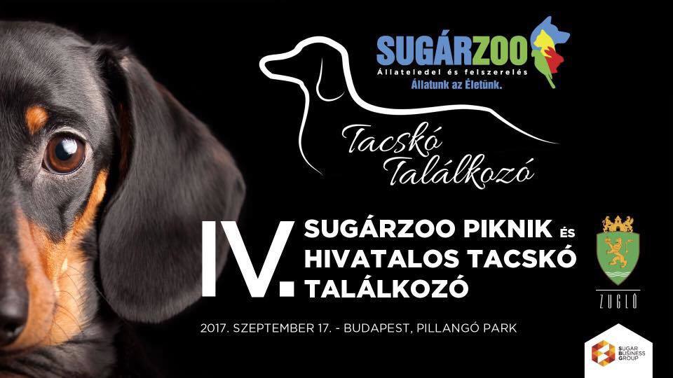 IV. SugárZoo Piknik és Hivatalos Tacskó Találkozó IV. SugárZoo Piknik és Hivatalos Tacskó Találkozó