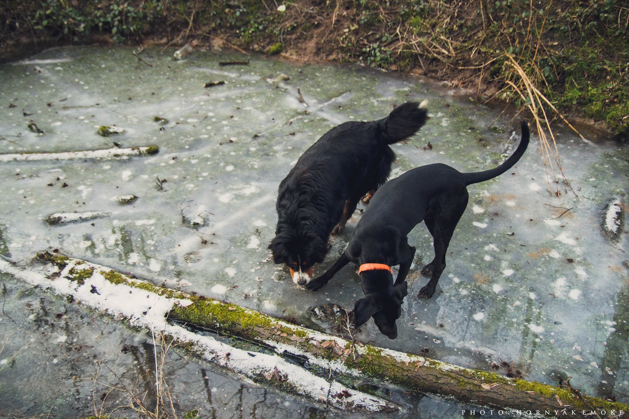 Séta közben sok helyen találkozhatunk befagyott tavacskákkal, patakokkal