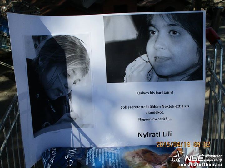 Üzenet az ittmaradóknak