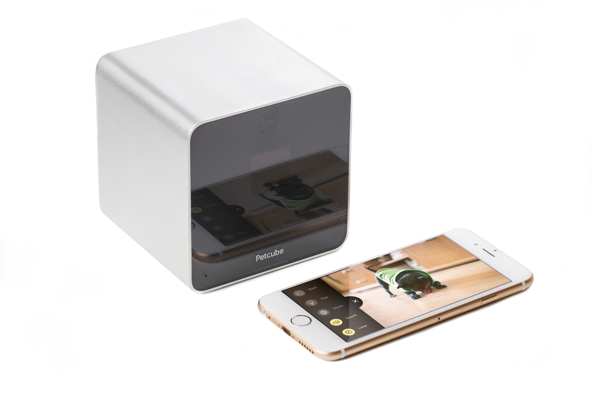 A Petcube Camera Európába is megérkezik A Petcube Camera Európába is megérkezik