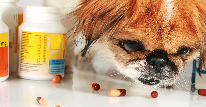 Óvatosan a mennyiséggel!