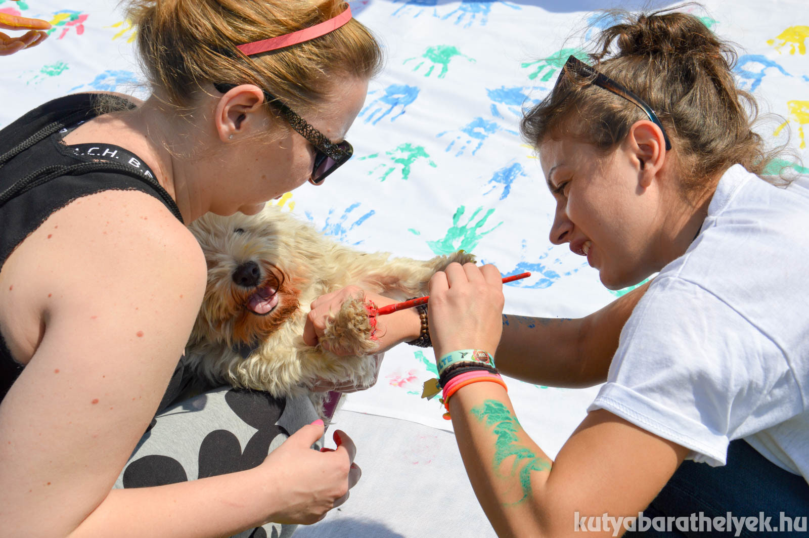 Lemosható festékkel hagytuk ott a kéz- és mancsnyomokat