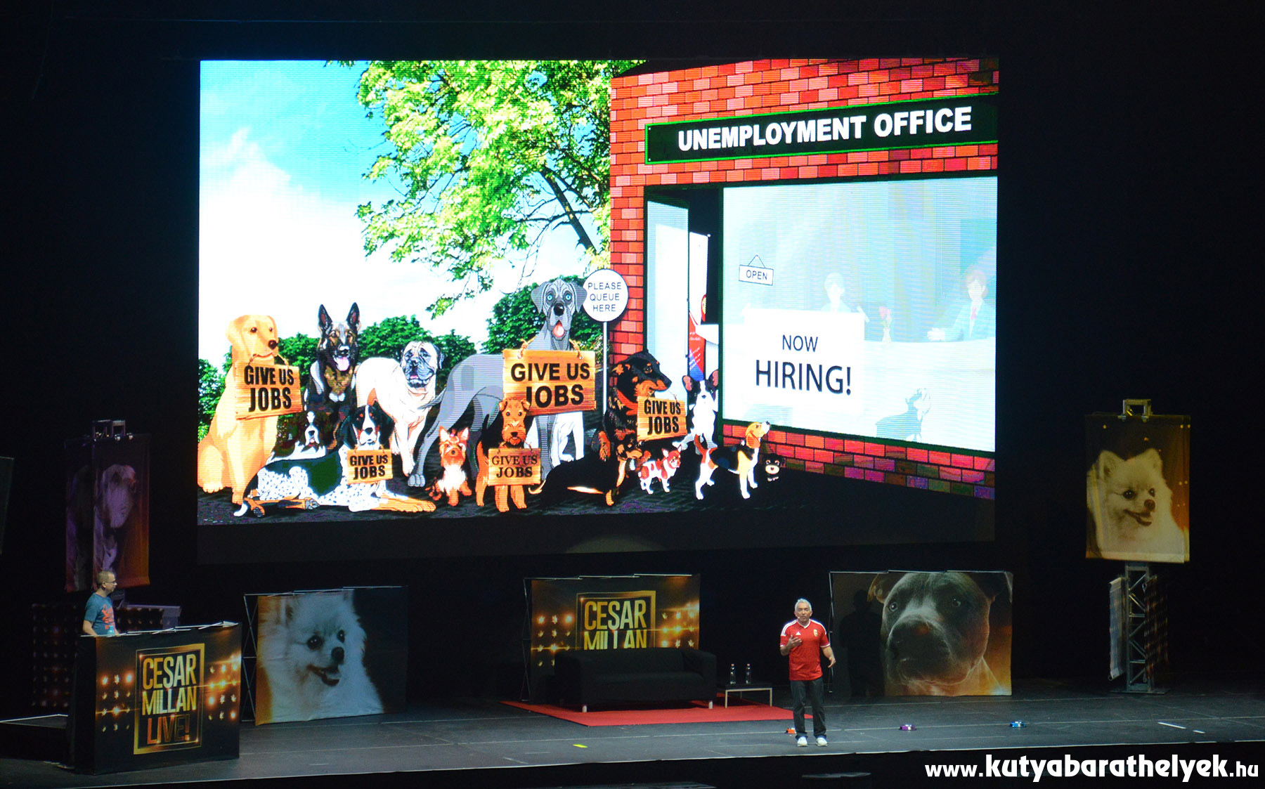 Cesar Millan Live Budapest - A kutyáknak feladatra van szükségük