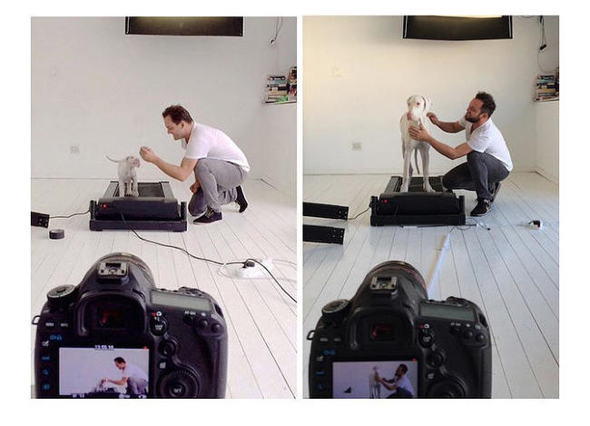 Így készült a Pegasus Project