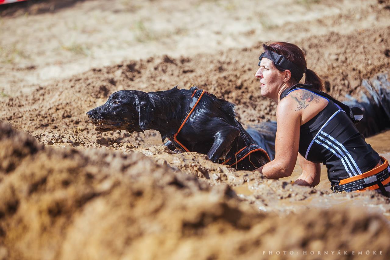 Csapatmunka: összekovácsolja a kutyát és a gazdit!