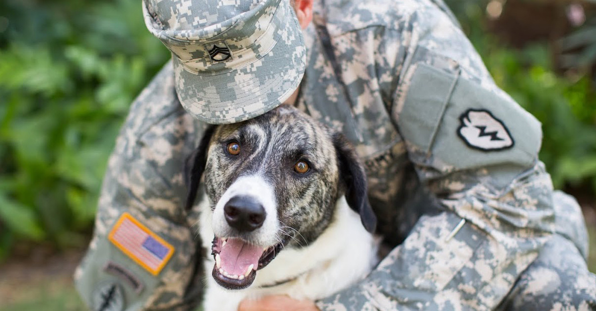 A kutyák szeretete jótékony hatással van ránk