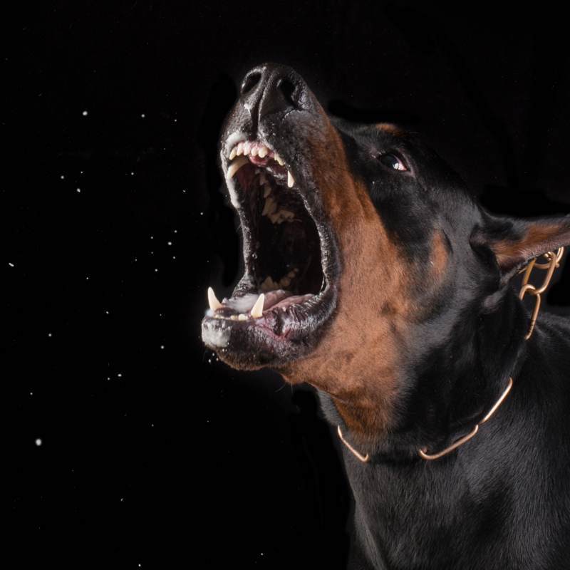 Undokságra nincs kedves válasz