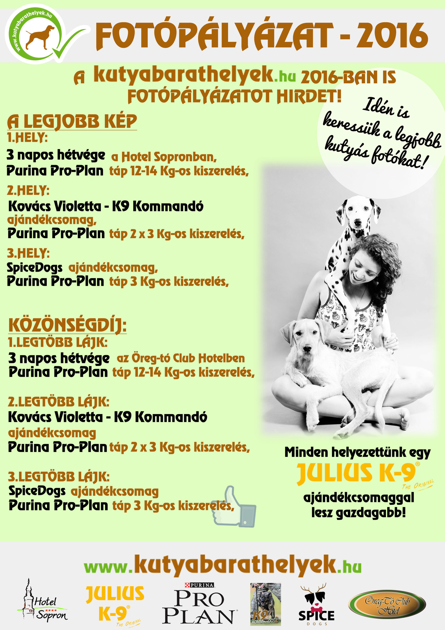 Kutyás fotópályázat Kutyás fotópályázat