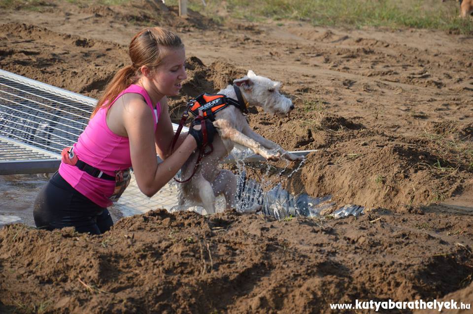 Visszatér a Hard Dog Race - hosszabb pályával és több akadállyal