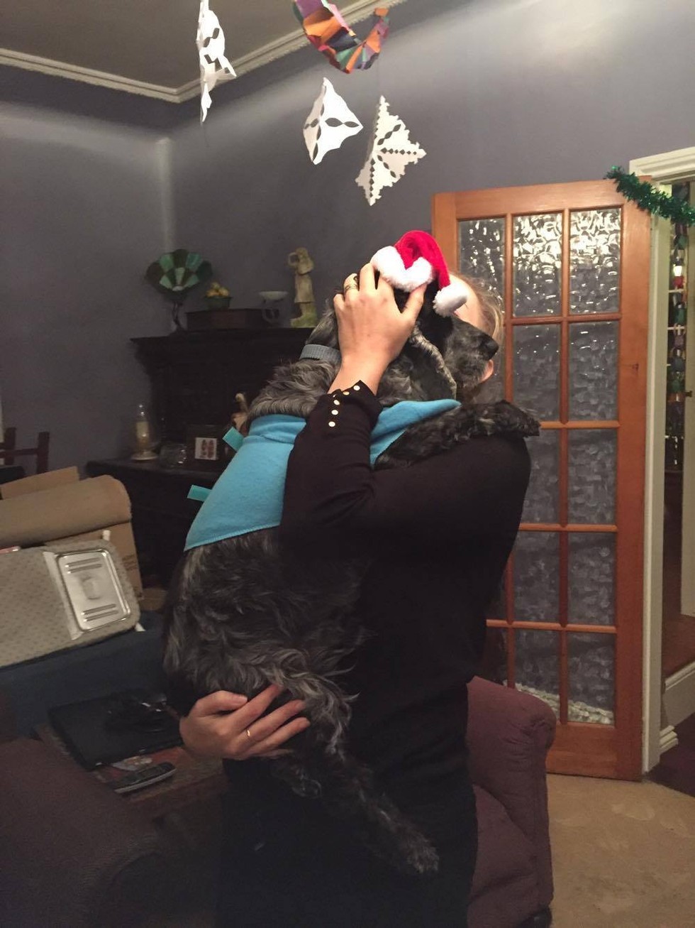 Karácsony szeretetben - ahogy a kutya egész élete is telt!